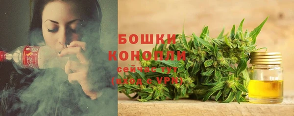 спиды Аркадак