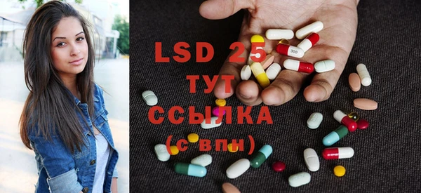 ПСИЛОЦИБИНОВЫЕ ГРИБЫ Балабаново