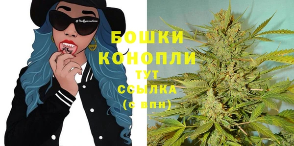 спиды Аркадак